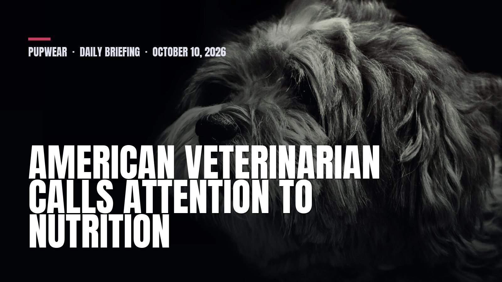 Pupwear daily briefing: American veterinarian calls attention to nutrition