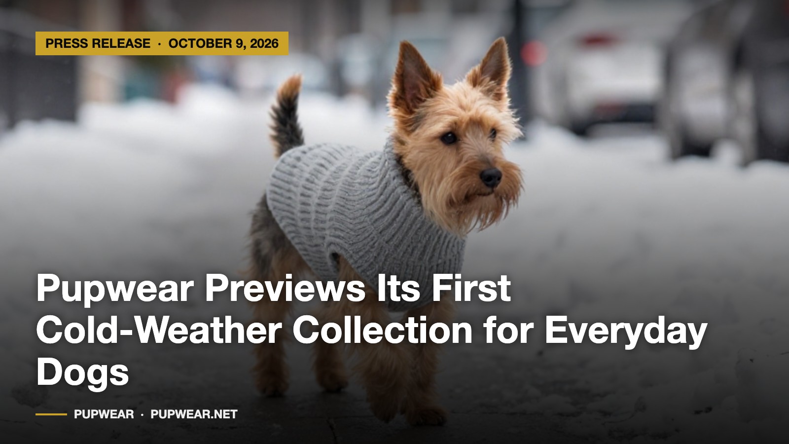 Pupwear Previews Its First Cold-Weather Collection for Everyday Dogs