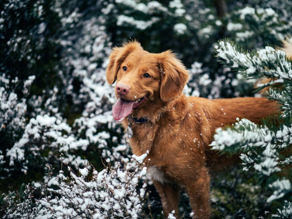 Warmth, care and everyday life