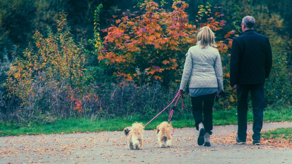 Great local pet stores